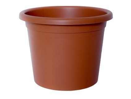 kvetinac belis terakota