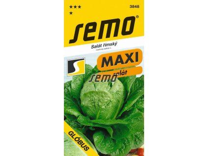 3848 semo zelenina salat rimsky globus