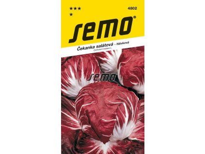 4802 semo zelenina cekanka salatova palla rossa 3
