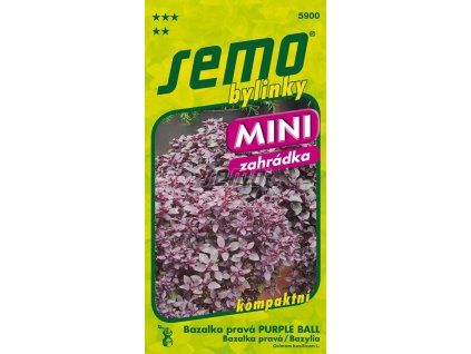 5900 semo bylinky bazalka prava purple ball