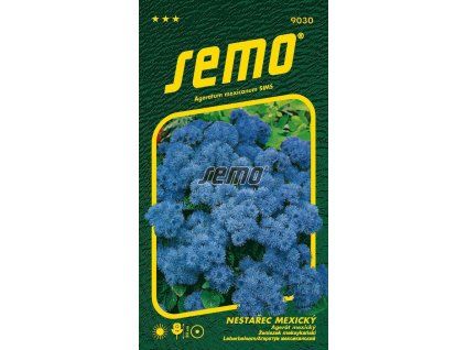 9030 semo kvetiny letnicky nestarec mexicky tetra blue mink
