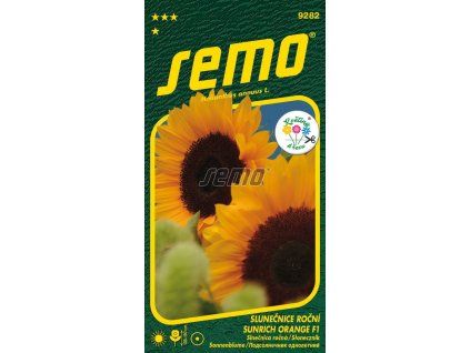9282 semo kvetiny letnicky slunecnice rocni sunrich orange