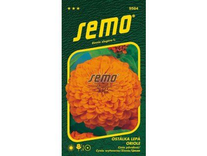 9584 semo kvetiny letnicky ostalka lepa oriole