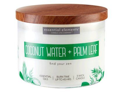 svicka coconut water palm leaf 418g (1)