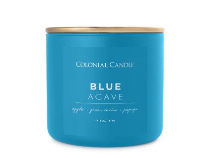Vonná svíčka Blue Agave - 411g