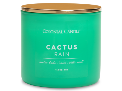 Vonná svíčka Cactus Rain - 411g