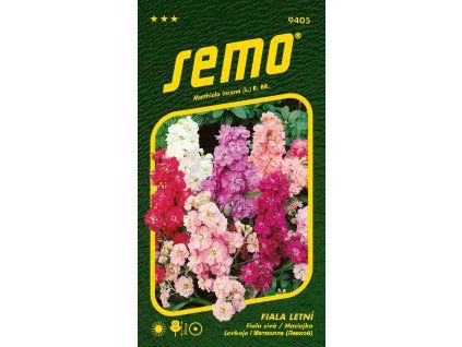 Fiala letní SMĚS - 60 cm