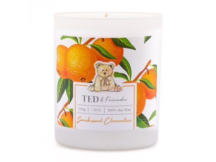 Vonná svíčka Sunkissed Clementine - 220g