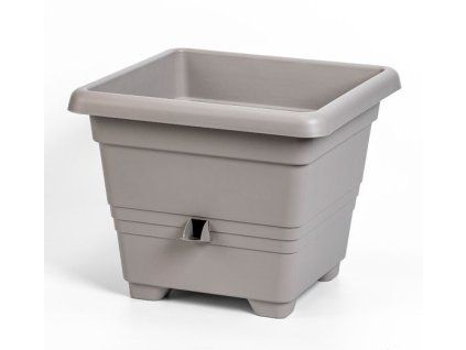 Taupe%20Bergamot