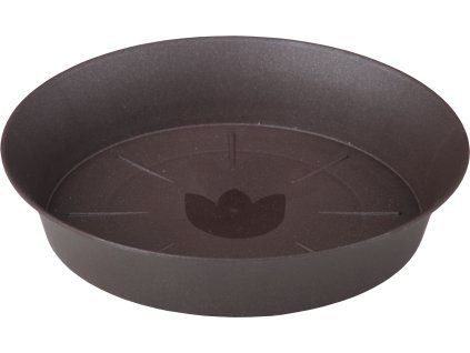 miska tulipan cokolada