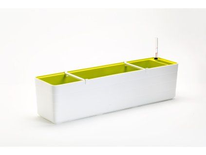 Samozavlažovací truhlík BERBERIS 80 cm bílá + zelená