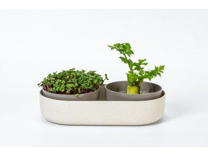 Velká farma MICROGREENS+REGROW - slonová kost s kávovou sedlinou