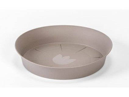 Tulipan%20Taupe