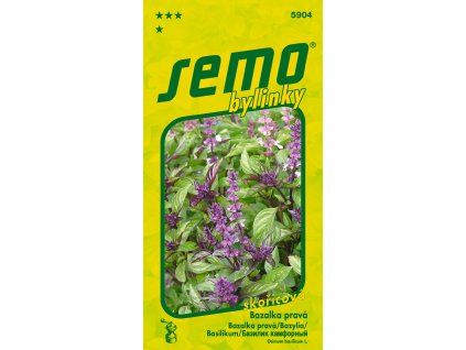 5904 bazalka%20CINAMONETTE
