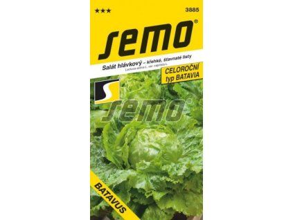 3885 semo zelenina salat hlavkovy batavus 256x500