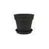 Camelie s podmiskou