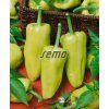 2530 semo zelenina paprika rocni ostry2 624x761