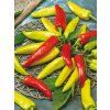 2596 semo zelenina paprika srilanus 2 600x800