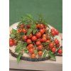 3160 semo zelenina rajce kerickove minirotus 2 600x800