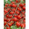 3276 semo zelenina rajce tyckove bibi2 624x832