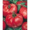 3225 semo zelenina rajce tyckove jergus 2 600x740