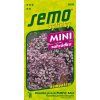 5900 semo bylinky bazalka prava purple ball