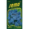 9030 semo kvetiny letnicky nestarec mexicky tetra blue mink