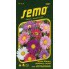 9099 semo kvetiny letnicky astra cinska andrella super mix