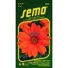 9253 semo kvetiny letnicky gazanie zariva new day clear orange