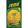 9582 semo kvetiny letnicky ostalka lepa canary bird