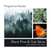 Black Pine & Moss