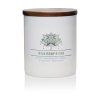 Sójová svíčka Wild Hemp & Oak - 453g
