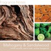 Vonná svíčka Mahogany & Sandalwood