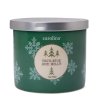 Vonná svíčka Mistletoe & Holly