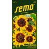 Třapatka srstnatá - rudbekie GLORIA DAISY - 90 cm, k řezu