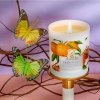 Vonná svíčka Sunkissed Clementine - přírodní