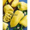 2510 semo zelenina paprika rocni amy2