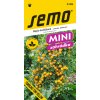 Rajče keříčkové Tumbling Tom YELLOW - převislé, ŽLUTÉ
