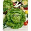 3704 semo zelenina salat hlavkovy smaragd s2 624x782