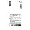 5929 semo bylinky levandule lekarska munstead blue1