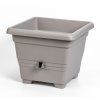 Taupe%20Bergamot