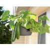 eab 0758 small 575x429
