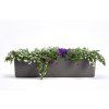 Samozavlažovací truhlík BERBERIS 60 cm antracit + slonová kost