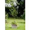 Samozavlažovací truhlík PLASTIA BERBERIS UNO 45x39x35