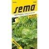 3885 semo zelenina salat hlavkovy batavus 256x500