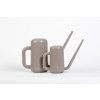 Pilea taupe
